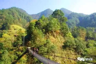 穿美裙赴夏日之约：一场与自然的浪漫邂逅