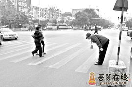 暖心女司机绿灯搀扶老人过马路，这一幕感动无数人