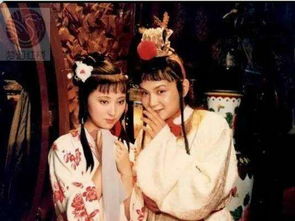 红楼梦经典场景