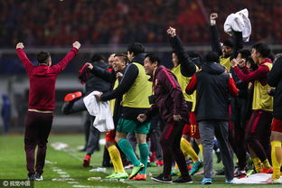 马龙庆祝胜利的画面