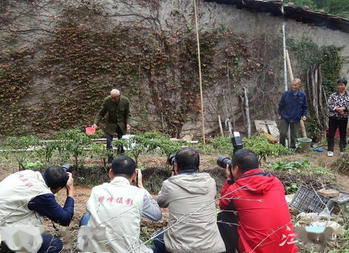 老人幸福生活场景