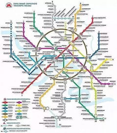 选择地图：人生岔路口的指南针