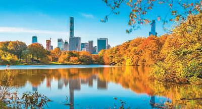 公园小径上的晨雾