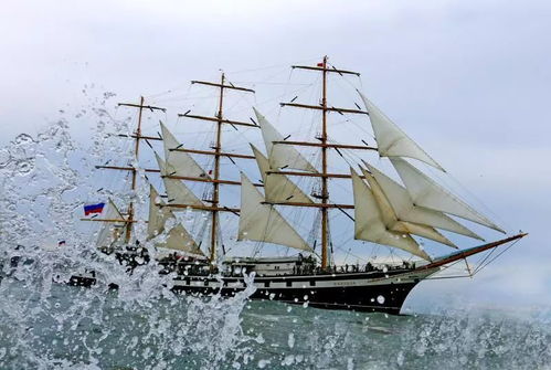 长风破浪会有时，直挂云帆济沧海：我的追梦之旅