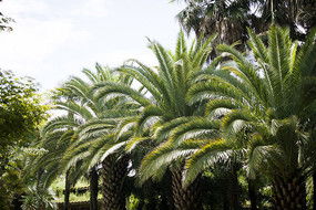 共建清洁美丽世界：人与自然和谐共生的理念