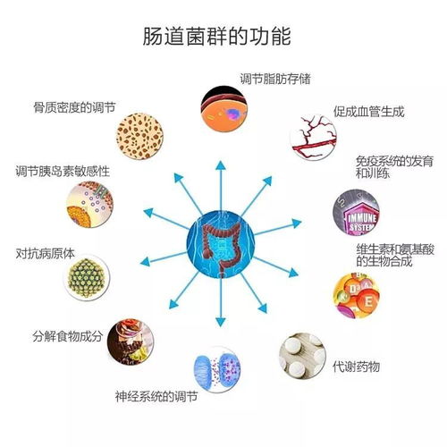 揭秘IBD患者肠道病毒组特征：一场科学与健康的较量
