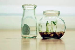 一瓶被倒空的酒瓶