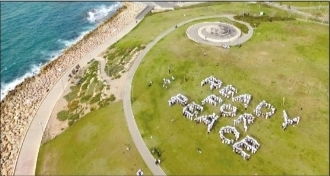 和平呼吁示意图