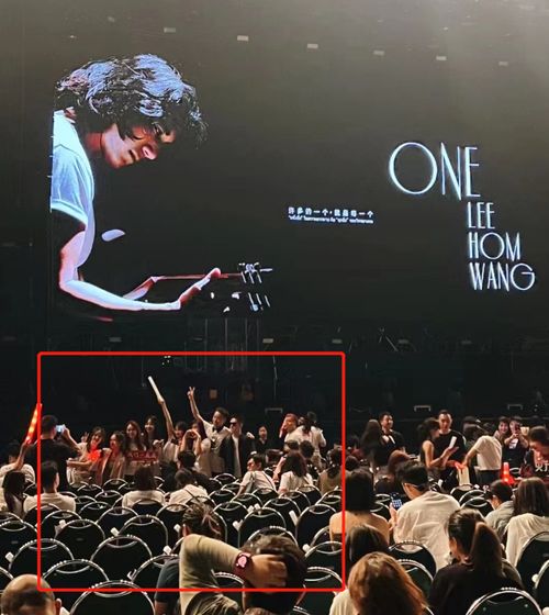 演唱会现场混乱场景