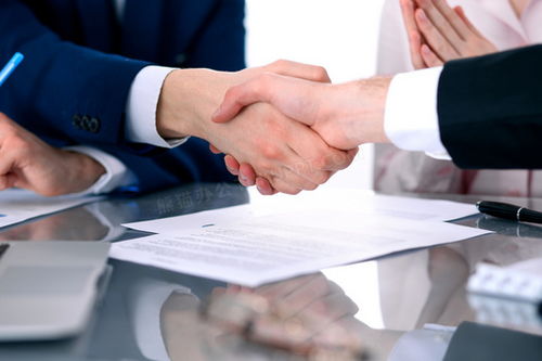 两国代表握手示意图