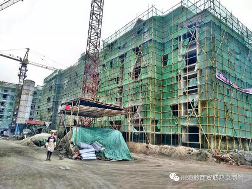 施工现场实景图