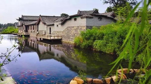 无忧渡：一场关于遗憾的深刻思考