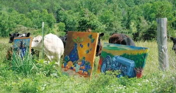 美国猪肉订单被中国大量取消背后