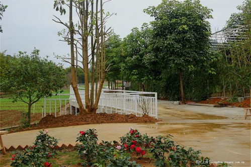 生态农场全景图