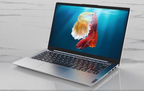 百元级笔记本真的香吗？小心低价陷阱！