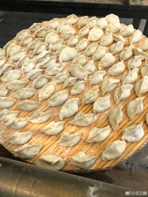 刘妈妈正在煮饺子