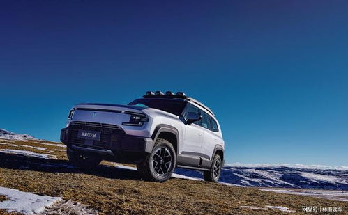 深蓝G318汽车图片