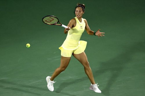 郑钦文与波塔波娃对战模拟图