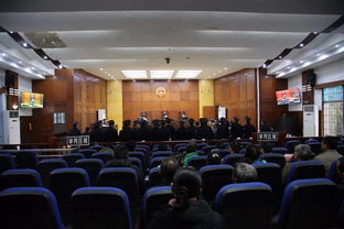 检察官审阅案件材料