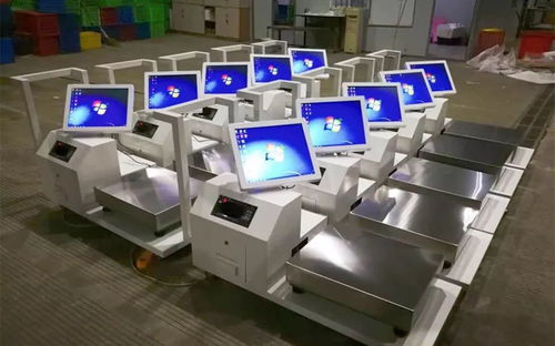 标准化电子秤示意图