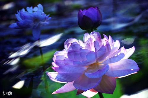 充满希望的日出图