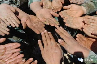 寻找爱的模样：在时光里感悟真爱