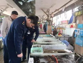 海鲜市场检查