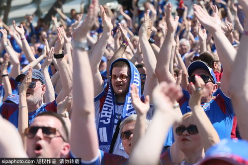 球迷欢呼场景