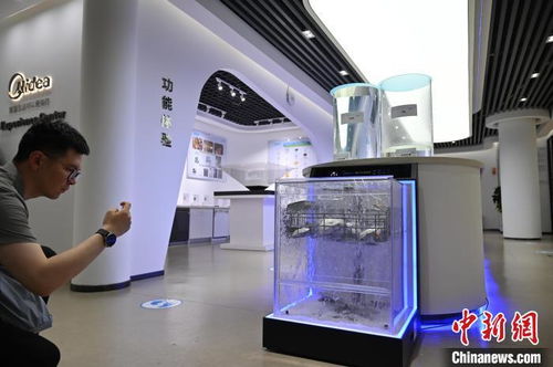 民营企业产品展示