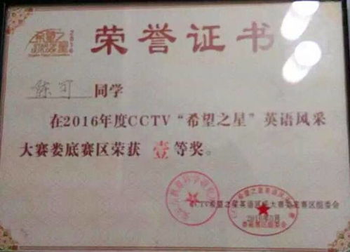 孩子获得的艺术比赛奖状