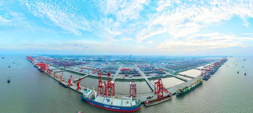 苏州港集装箱堆存服务免费政策：谣言止步真相