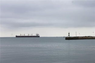 老人垂钓的画面