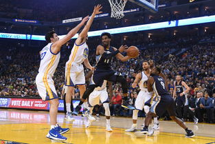 灰熊队比赛场景