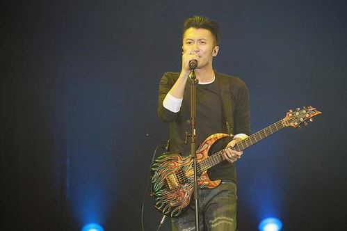 谢霆锋舞台表演照片