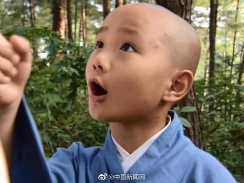 曹骏外甥当然要像舅舅了，家族基因的传承真香！