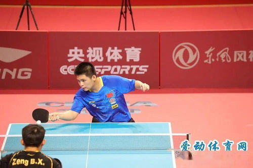 张继科力挺林诗栋：雨果「昙花一现」论调站不住脚