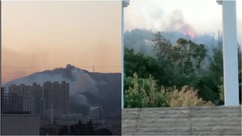 广西灵山应急局辟谣：山火致人死亡是假消息！