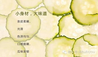 新鲜采摘的黄瓜堆