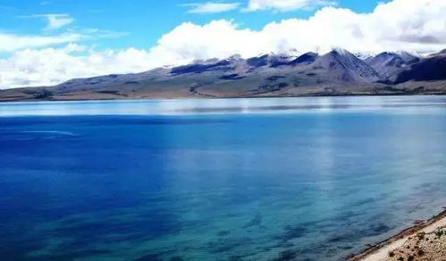 无忧渡oe：一场关于心灵治愈的奇妙旅程