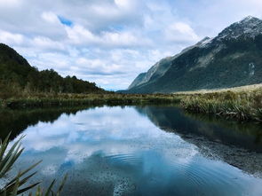 我心即道场：在纷扰世界中找到内心的宁静