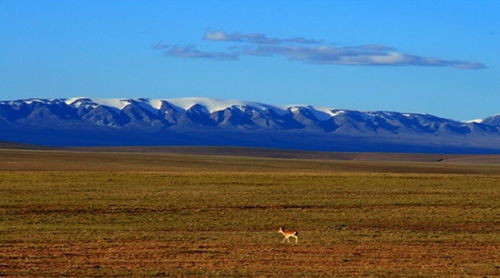 可可西里美丽的自然风光