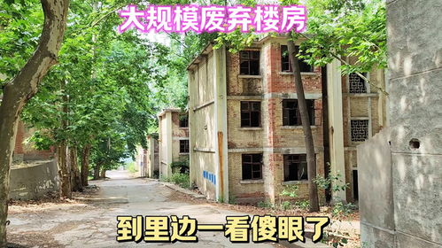 13分钟看丧尸街背后的费城真相