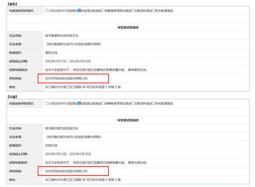 技术检查报告截图