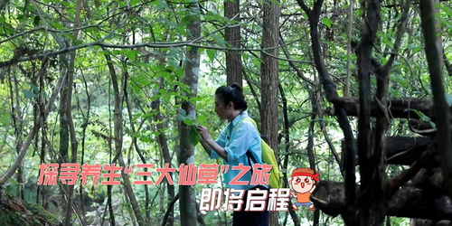 94岁的周爷爷展示自律生活