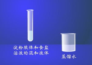 盐析：从科学到诗意的奇妙旅程