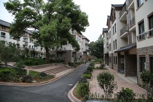 重建后的社区景象