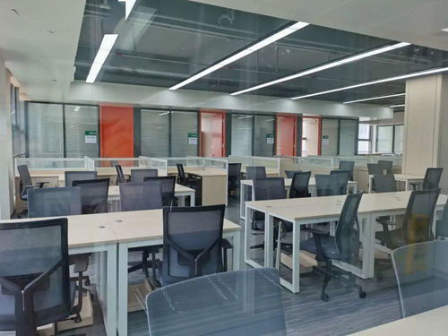 韩国顶尖学者相继来华任职，背后有何深意？