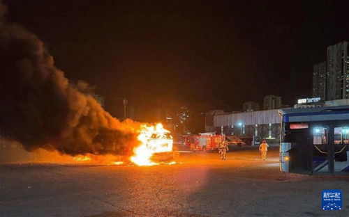 中东局势再起波澜：伊朗港口爆炸背后的真相