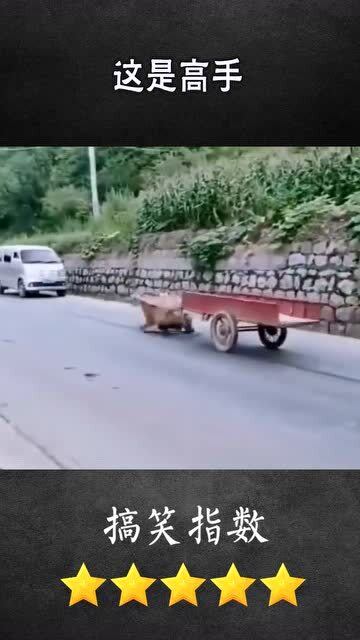 10泡尿如何毁掉一场数万跑者的马拉松赛事