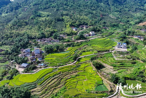 王者综艺农家乐：一场乡村版的巅峰对决